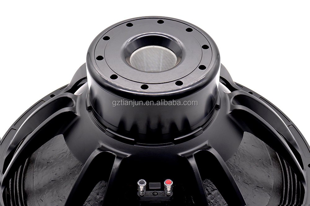 21'' Professional Audio System - огляд і ціна Speakers