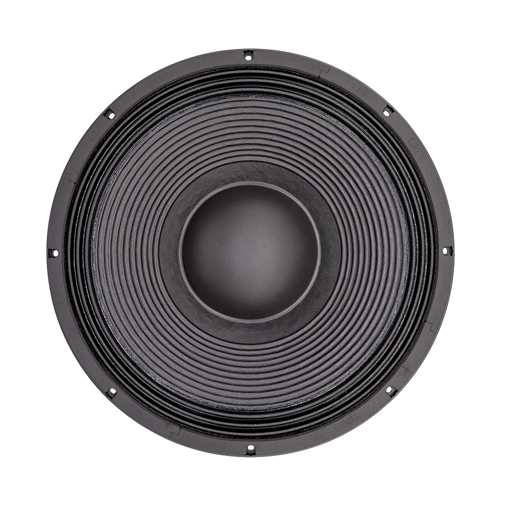 21'' Professional Audio System - огляд і ціна Speakers