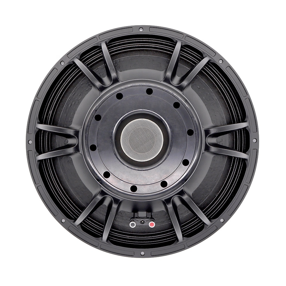 21'' Professional Audio System - огляд і ціна Speakers