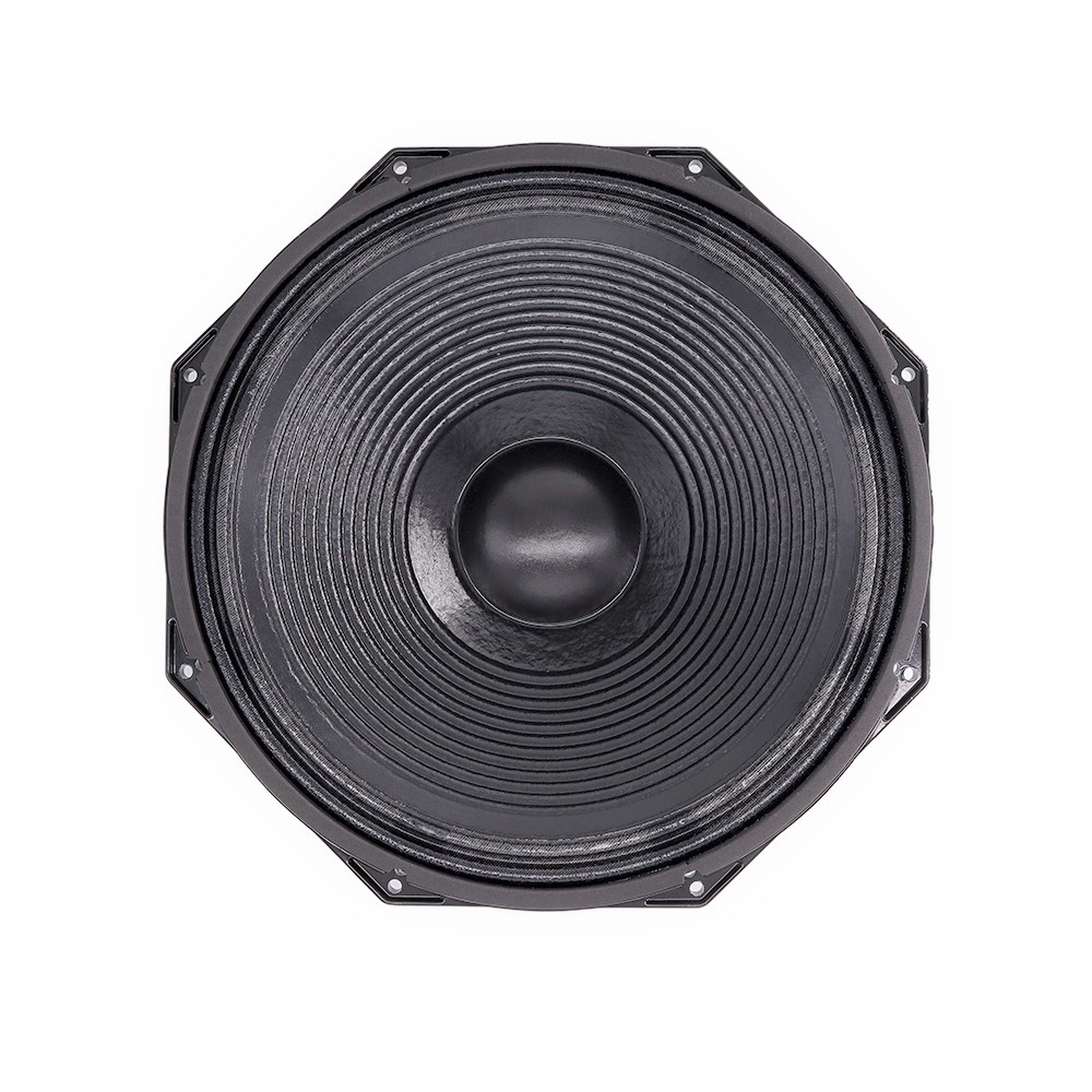 Professional Audio 600W 15 Inc - огляд і ціна Speakers